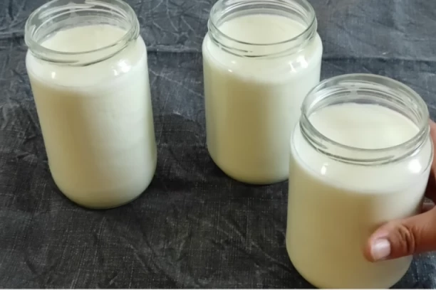 RECEPT ZA DOMAĆI JOGURT: Jako se lako pravi, imaćete ga stalno u kući i UŠTEDEĆETE!