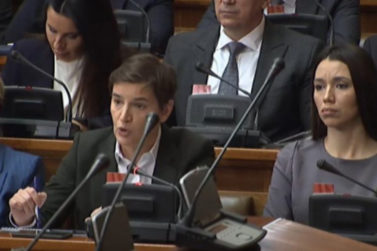 SEDITE OKRUŽENI POSLANICIMA KOJI 12 GODINA NISU NIŠTA URADILI SA ODIHR-OM! Brnabić spustila na zemlju Biljanu Đorđević!