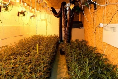 OTKRIVENA LABORATORIJA ZA MARIHUANU! Zaplenjena velika količina narkotika, uhapšeno više osoba! (FOTO)