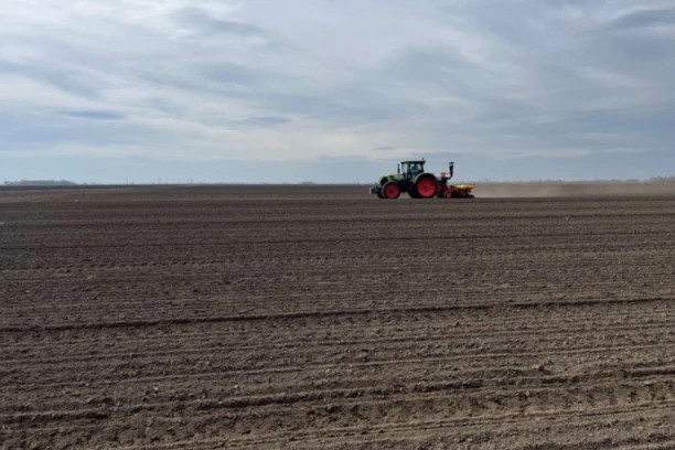 Setva šećerne repe u toku: Sunoko uz poljoprivredne proizvođače