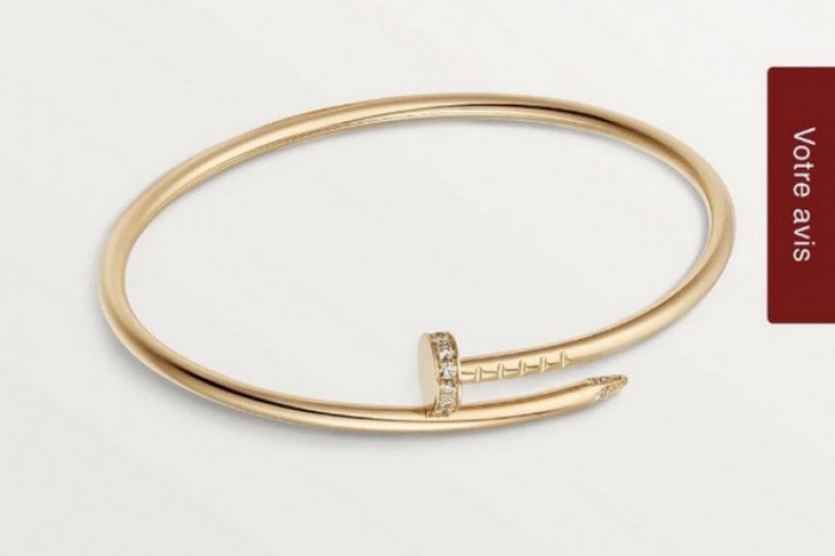 Jelisaveta Orašanin nosi narukvice marke "Cartier"