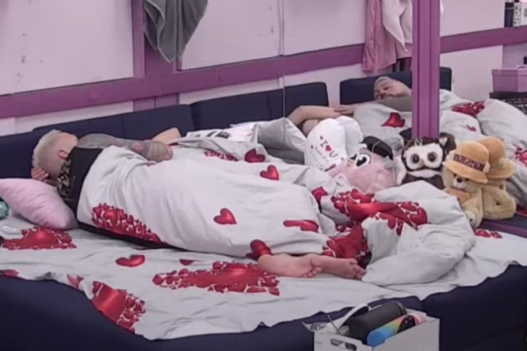 Ša i Miona Elita 7 Zadruga