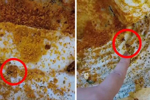 ZAGRIZAO JE HRANU KOJU JE NARUČIO, A ONDA JE IZLETELO NEŠTO ODVRATNO IZ NJE: Rasulo se po tanjiru, bilo ih je čak OSAM, sve se desilo u poznatom restoranu! (VIDEO)