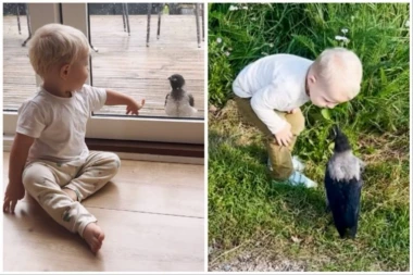 VRANA NEDELJAMA OBIGRAVA OKO OVOG MALIŠANA: Kad čujete šta to znači, nećete moći da obuzdate suze (VIDEO)