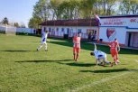 UBEDLJIVA POBEDA DOMAĆINA: Zvezda je pokazala da ovog proleća igra "turbo" fudbal! (FOTO GALERIJA)