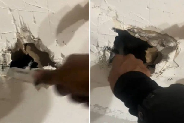 ZAČULA JE GREBANJE, A ONDA JE RAZBILA ZID DA POGLEDA ŠTA JE: Kada je TO izašlo, ljudi su alarmirali da odmah zove POLICIJU (VIDEO)