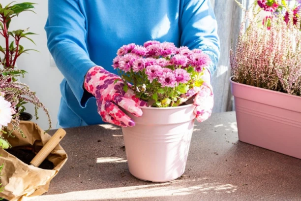 OVAKO PROVERITE DA LI TREBA DA PRESADITE BILJKU: Pre nego što to uradite, obavezno prekontrolišite JEDNU stvar!