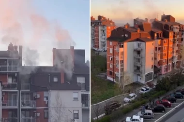 JEDNA OSOBA POVREĐENA, SA OPEKOTINAMA PREBAČENA U UC! Detalji požara na Bežanijskoj Kosi! (VIDEO)