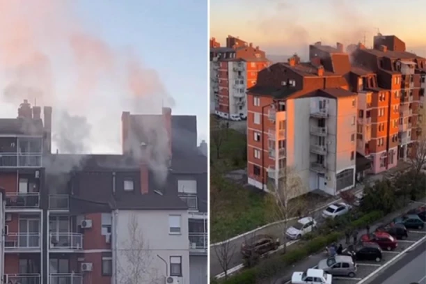 JEDNA OSOBA POVREĐENA, SA OPEKOTINAMA PREBAČENA U UC! Detalji požara na Bežanijskoj Kosi! (VIDEO)