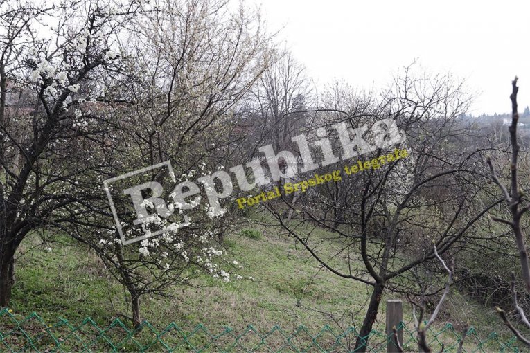 Placevi Miljane Kecmanović vredni na stotine hiljada evra