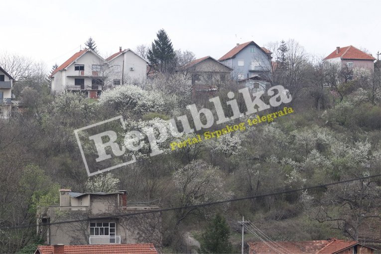 Miljana Kecmanović poseduje placeve u Nišu i Paraćinu