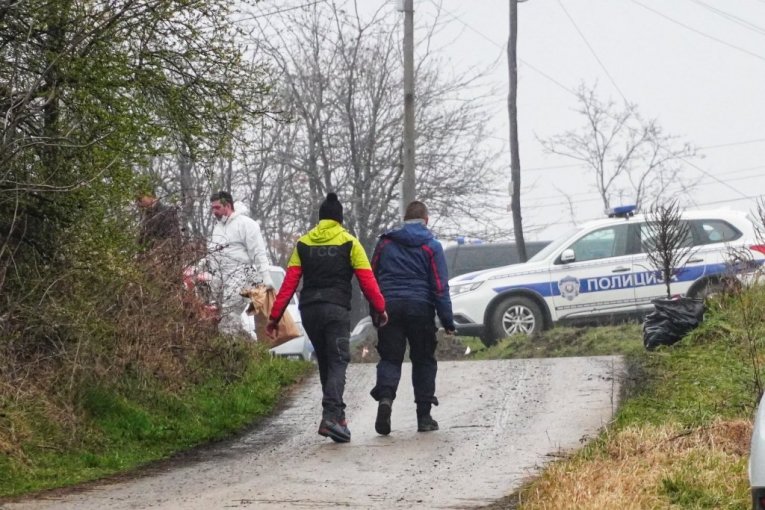 Potraga za Dankom Ilić