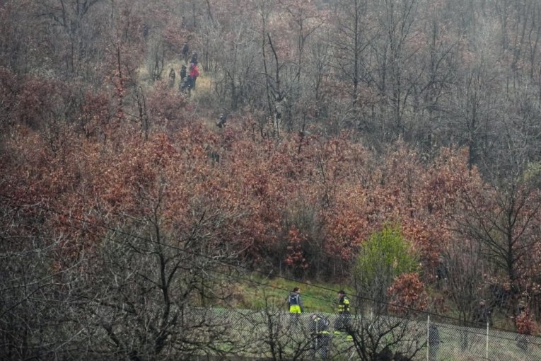 Potraga za Dankom Ilić