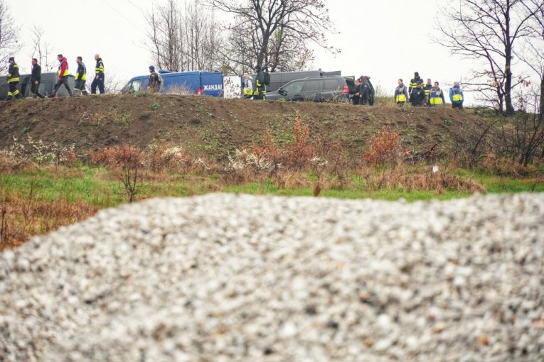 Potraga za Dankom Ilić