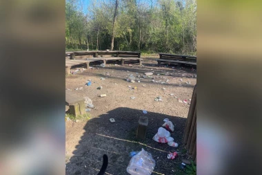 SRPKINJA, RUSKINJA I AMERIKANAC OČISTILI DEPONIJU U BANJIČKOJ ŠUMI: Beograđani napravili haos posle žurke!