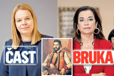 ČAST I BRUKA: Viđena dva lica u savetu Evrope