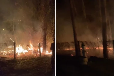 GORI ŠUMA! Drama kod Deliblatske peščare! (VIDEO)