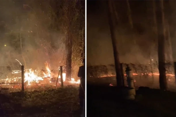 GORI ŠUMA! Drama kod Deliblatske peščare! (VIDEO)