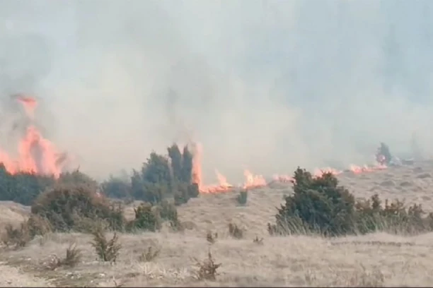 DRAMATIČNO! VELIKI POŽAR KOD PRIJEPOLJA, VATRA SE ŠIRI KA KUĆAMA! Ljudi u panici! (FOTO)