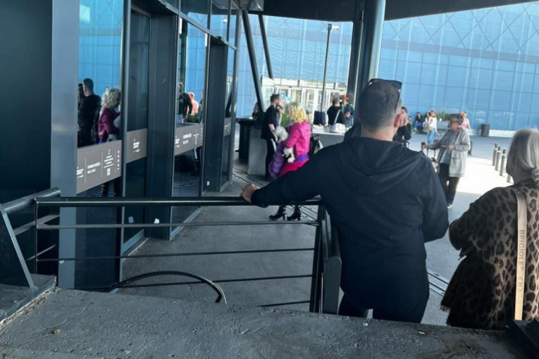 Maja Nikolić, paparaco