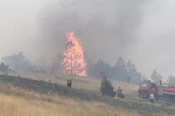 VELIKI POŽAR KOD ZLATIBORA! Plamen preti da zahvati i šumu! (FOTO)