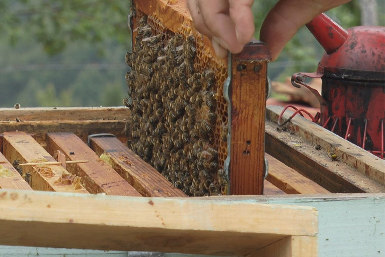 Da pamtimo ko smo i odakle potičemo