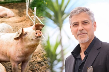 SPAVAO SA SVINJOM, PA POŽELEO DA JE OŽENI: Tajna poznatog glumca izbezumila javnost, zbog BIZARNIH DETALJA će vam popadati vilice!