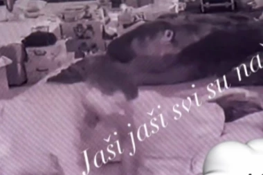 DIVLJAČKA AKCIJA MAJE I STANISLAVA UŽASNULA UČESNIKE: Od glasnog "zakucavanja" i UZDAHA napravljen haos u Eliti! OPŠTE PRED SVIMA (VIDEO)