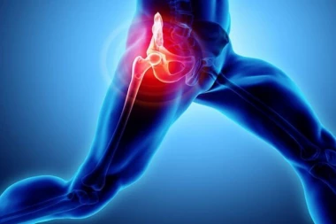 JOKSO IZDRŽI: Derbi je ostao u senci teške povrede čuvara mreže - proces oporavka biće dug i težak!