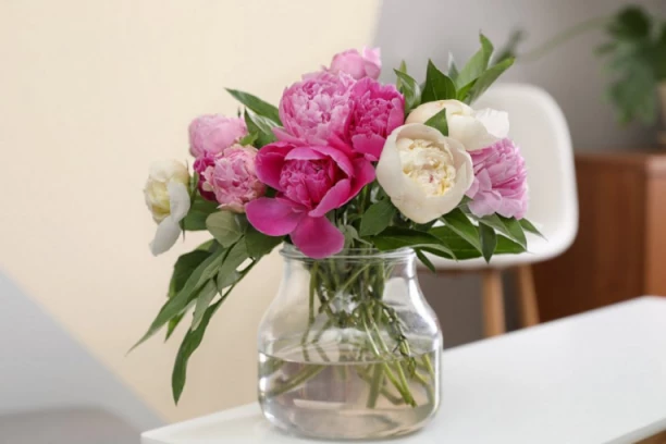 UZ JEDAN TRIK CVEĆE U VAZI ĆE OSTATI DUPLO DUŽE U "ŽIVOTU": Jedan PREDMET će usporiti RASCVETAVANJE!