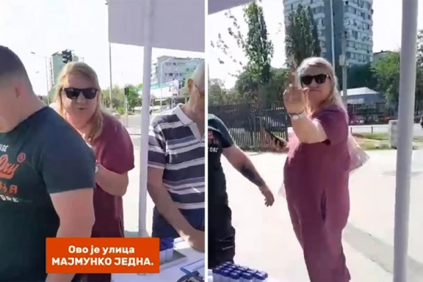 EVO KAKO SE PONAŠA SRBIJA KOJA JE PROTIV NASILJA! Napad na aktiviste SNS, udaranje, pretnje, a onda srednji prst! (VIDEO)