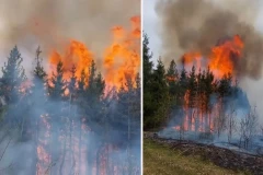 DRAMATIČNO: Požar na teritoriji opštine Trgovište se proširio na Lesničke planine! (VIDEO)