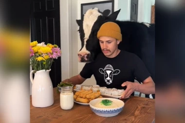 POSTAVIO JE STO, A IZA NJEGA SE POJAVIO NEOČEKIVAN GOST: Zbog onoga što se POSLE DESILO, svi pali na kolena od SMEHA (VIDEO)