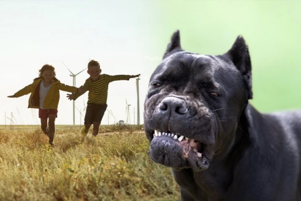 UHVAĆEN PAS KOJI JE IZUJEDAO DECU U NIŠU! Deca zadobila povrede ruku