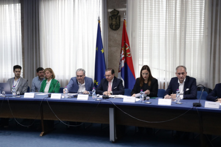 Dr Vladimir Martinović i Martina Almaši na panelu Uloga i značaj fabrika baterija u modernim lancima snabdevanja e-mobilnosti - izazov u 21. veku