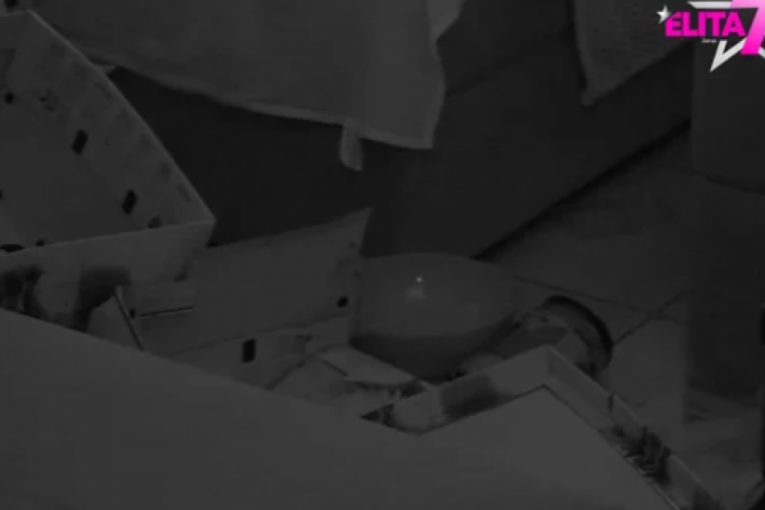 Nenad Aleksić Ša razbija po Eliti zbog Mione Jovanović