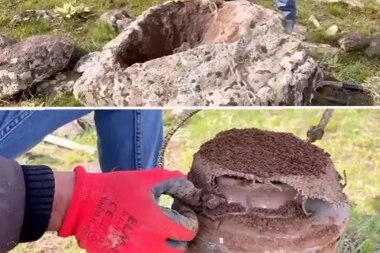 PRONAŠLI SU PRAVI ĆUP SA BLAGOM, A ONDA IH JE OVO DOČEKALO: Pretrnuli su od STRAHA, a onda se desilo NEOČEKIVANO(VIDEO)