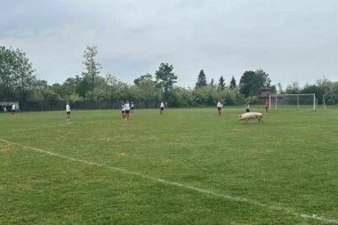 POSLE ZMIJE I SVINJA NA TERENU: Ovo su prave čari niželigaškog fudbala! (VIDEO)