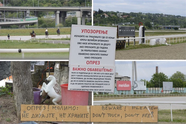 "KONJ JE ZBACIO DETE U GALOPU"! Očevici nezgode na Hipodromu otkrivaju: SPASILA JU JE OPREMA ZA JAHANJE! (FOTO)