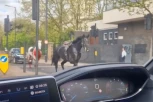 DRAMA U CENTRU GRADA, IMA POVREĐENIH! Konji zbacili jahače pa JURE ulicama, jedan UMAZAN KRVLJU, nastao HAOS (VIDEO)