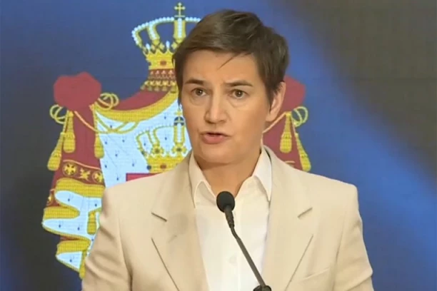ANA BRNABIĆ RASPISALA IZBORE ZA ODBORNIKE SKUPŠTINE GRADOVA I OPŠTINA!
