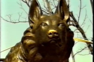 KERUŠA GABI SPASILA JE BEOGRAĐANE JEDNE NOĆI I DOBILA SPOMENIK U ZOO VRTU:  Priča o hrabroj borbi sa jaguarom u centru grada!