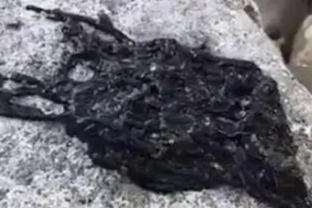 CRNA MASA KOJA GMIŽE SLEDILA IH JE U MESTU: Nisu znali šta je, ali kad su čuli, POBEGLI su glavom bez obzira