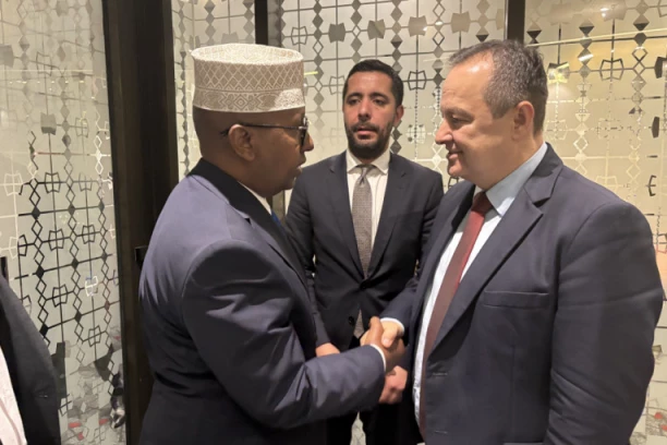 DAČIĆ U TANZANIJI: Važan sastanak sa ministrom inostranih poslova Somalije (FOTO)