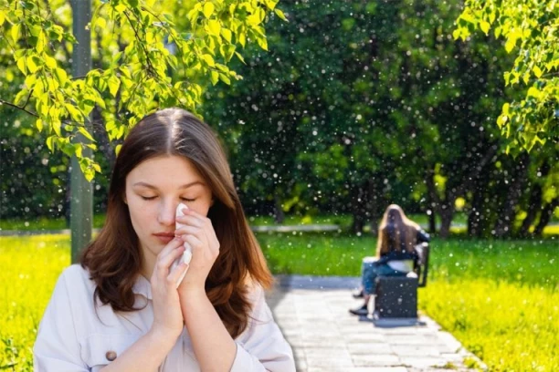 ZBOG "MACA" U BEOGRADU SVI KIJAMO I ČEŠEMO NOS! Stručnjaci otkrivaju: Najviše ih ima na Adi, a OVO je trenutno najveći ALERGEN!