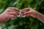 SA OVIM SE MNOGI NEĆE SLOŽITI: Stručnjaci tvrde da nije zdravo da pijete "jednu rakijicu" pre jela