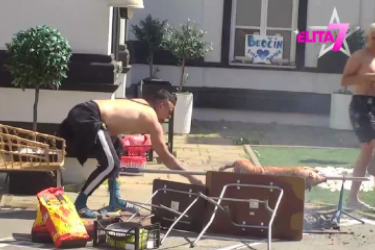 Borislav Terzić Terza