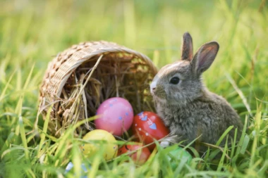 KAKO SU ZEC I ŠARENA JAJA POSTALI SIMBOLI USKRSA: Iza svega stoji duboka simbolika