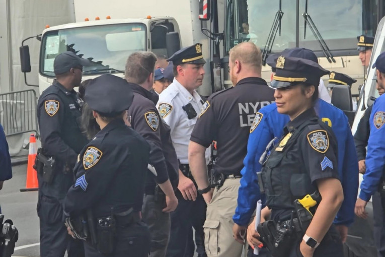 Met Gala 2024 hapšenje