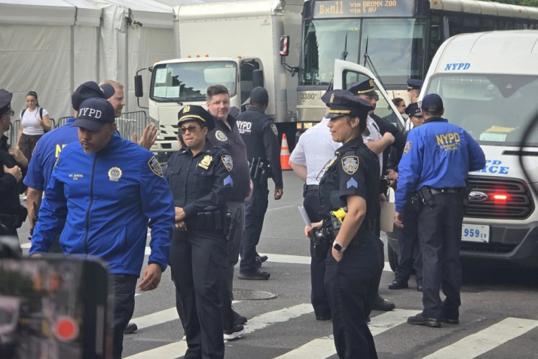 Met Gala 2024 hapšenje